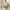 Green Bras, variant on SMihono Bras for Older Women Push up Breathable Front Closure Daisy Bras Full Support No Underwire Plus Size Everyday Bra Beige 12