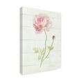 thumbnail image 2 of Trademark Fine Art 'June Blooms I' Canvas Art by Danhui Nai, 2 of 3