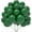 Dark green, variant on JOYYPOP Green Balloons 100 Pcs Green Party Latex Balloons 12 Inch Green Latex Balloons for St. Patrick's Day Birthday Fiesta Jungle Safari Theme Party Decorations