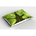 thumbnail image 2 of Ambesonne Country Pillow Sham 2 Pack, Old Big Majestic Tree, 30"x20", Green Brown, 2 of 3