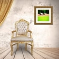 thumbnail image 3 of Hausenflock, Alan 12x12 Gold Ornate Wood Framed with Double Matting Museum Art Print Titled - Spring Fields II, 3 of 4