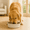 Off-White, variant on Premium Anti-Skid Stainless Steel Dog Bowl, Easy to Clean Pet Feeder by Pawpourri, 60.8 fl oz, Peach