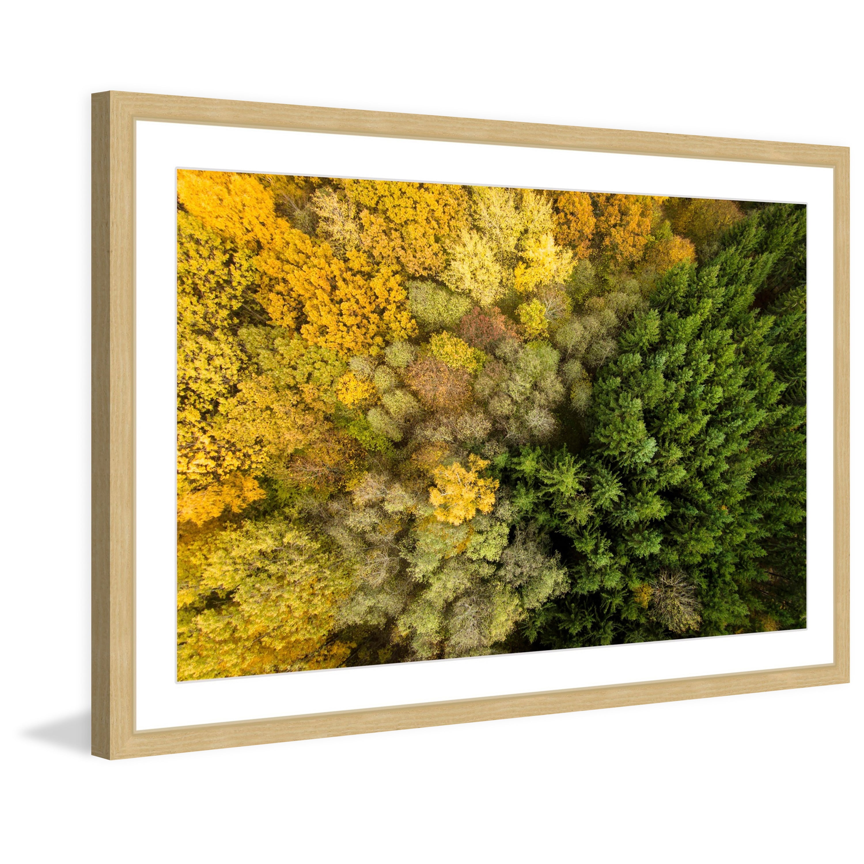 Marmont Hill "Dense Growth" By Karolis Janulis Framed Painting Art Print, 30.0" x 1.5"