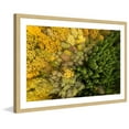 thumbnail image 2 of Marmont Hill "Dense Growth" By Karolis Janulis Framed Painting Art Print, 24.0" x 1.5", 2 of 5