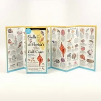 FoldingGuides: Shells and Beach Life of Florida's Gulf Coast (Other)