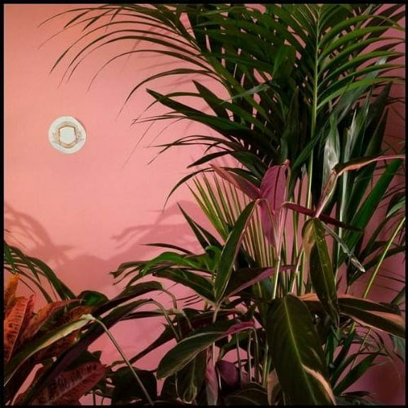 Mixed Blessings (CD)