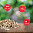 Sunflower Kernels Wild Bird Seed No Waste Bird Food Attracts Finches