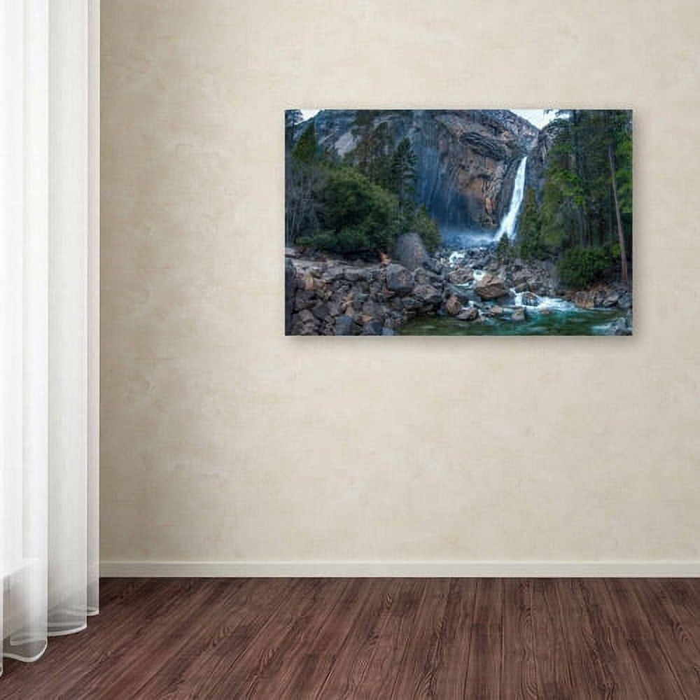 Trademark Fine Art "Yosemite National Park - California-IV" Canvas Art by David Ayash