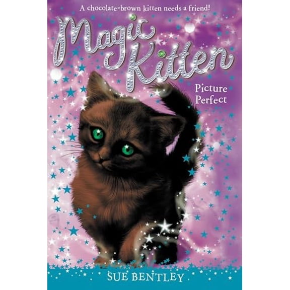 Pre-Owned Picture Perfect: 13 (Magic Kitten) Paperback