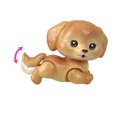 thumbnail image 4 of Barbie Dream Squad Pet Puppy and Pool with Color-Changing Accessories, 4 of 5