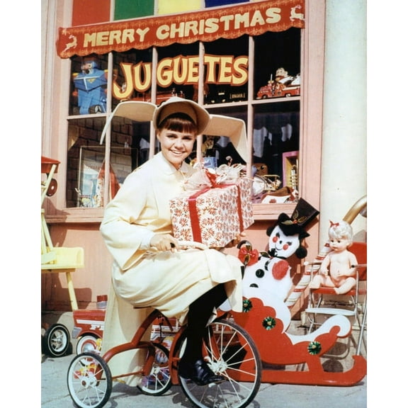 The Flying Nun Featuring Sally Field 24X36 Classic Hollywood Poster