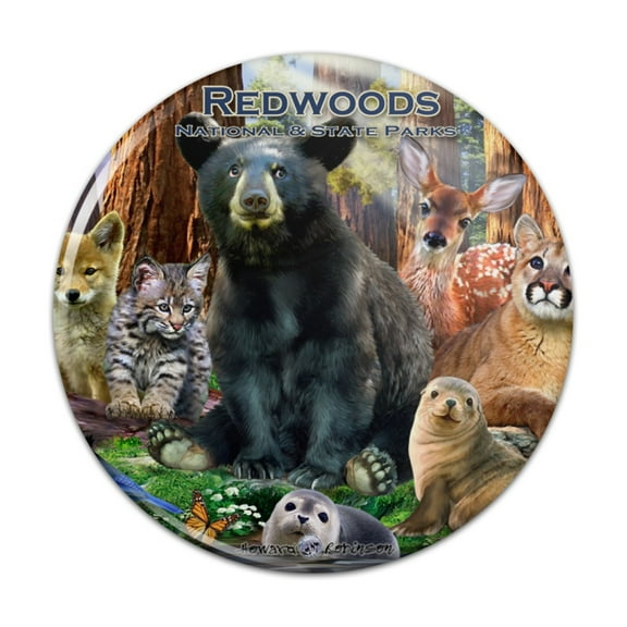 Redwoods National and State Parks California CA Animals Bear Deer Cougar Bobcat Pinback Button Pin Badge