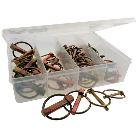 50 Piece Snapper Pins Assortment - 4 Sizes - Divided Plastic Storage Box