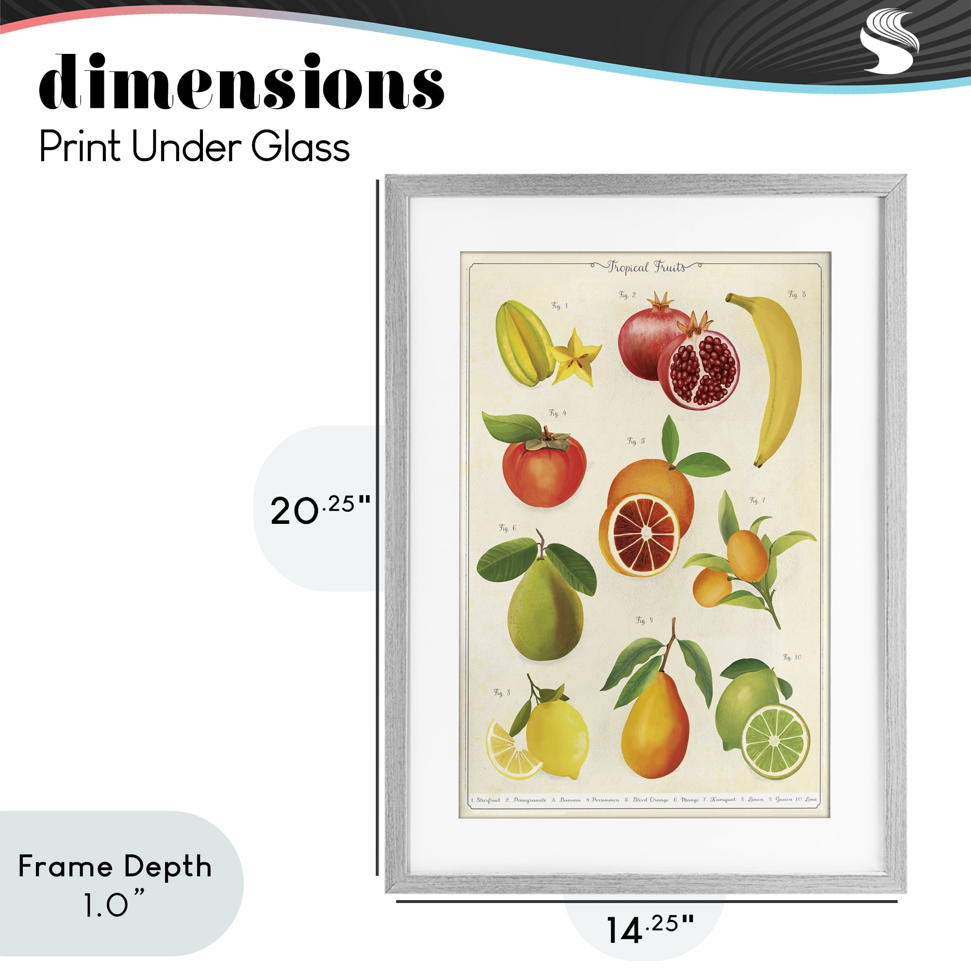 Stupell Industries Vintage Tropical Fruit Studies Gray Framed Print Under Glass, design by Diane Neukirch