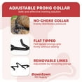 thumbnail image 3 of Downtown Pet Supply Prong Collar for Dogs Adjustable Dog Training Collar Black, S, 3 of 8