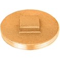 thumbnail image 2 of PLUG RAISED 3"BRASS by SIOUX CHIEF MfrPartNo 876-30PK, 2 of 3