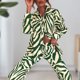 thumbnail image 4 of Top De Manga Larga + Pantalones Top de manga larga para mujer + Pantalones Camisa estampada + Pantalones de cintura alta (Verde L) Ygjytge para Mujer Verde T S, 4 of 6
