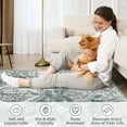 thumbnail image 6 of Haperlare Vintage Runner Rugs for Hallway,Machine Washable Non Slip Entryway Rugs,Grey Rugs for Laundry Kitchen,2'x6' Indoor Floor Mat, 6 of 7