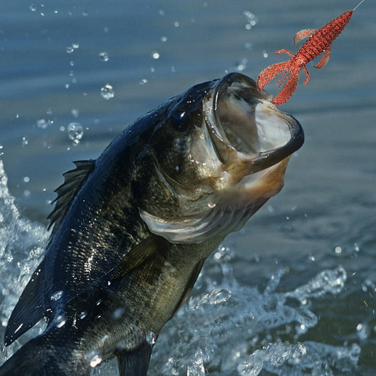 categories of fishing reels Types of Fishing Reels: The Complete Guide for 2026