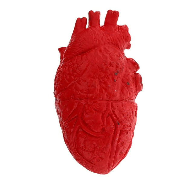 Réplica anatómica realista de un corazón / Réplica de órgano humano de silicona / Accesorio para entrenamiento médico y terror - España Réplica anatómica realista de un corazón / Réplica de órgano humano de silicona / Accesorio para entrenamiento médico y terror - España