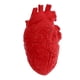 thumbnail image 3 of Modelo de Corazón Falso, órgano de Partes Del Cuerpo de Tamaño Natural, Suministros de Accesorios de Terror de Halloween Baoblaze Corazón humano, 3 of 7