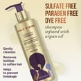 thumbnail image 2 of Pantene Shampoo and Sulfate Free Conditioner Kit, with Argan Oil, Pro-V Gold Series, for Natural and Curly Textured Hair, 16.9 fl oz, Kit, 2 of 3