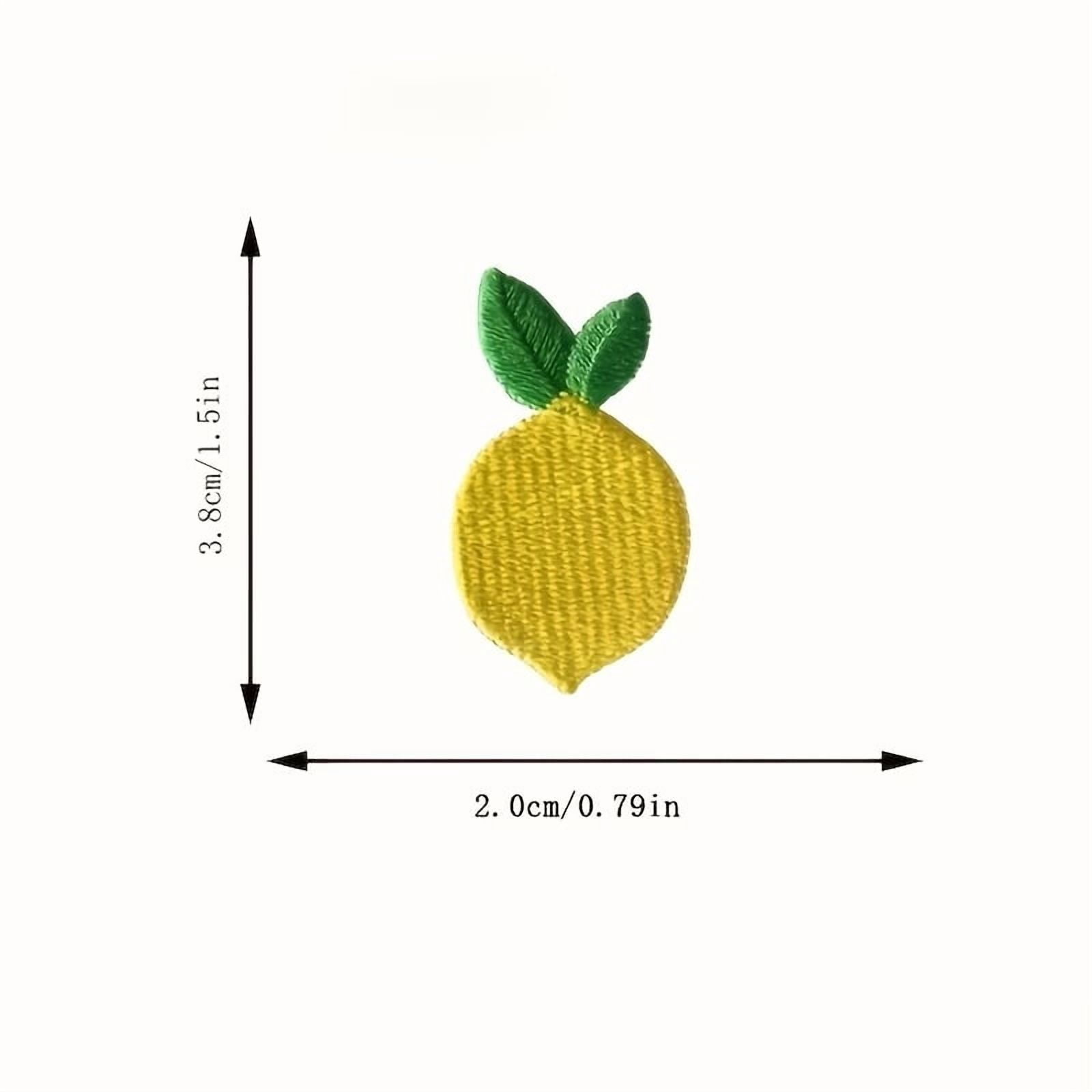 2pcs Tiny Lemon Iron On Patches, Embroidered Applique for Clothing, Cute Lemon Embroidery Labels