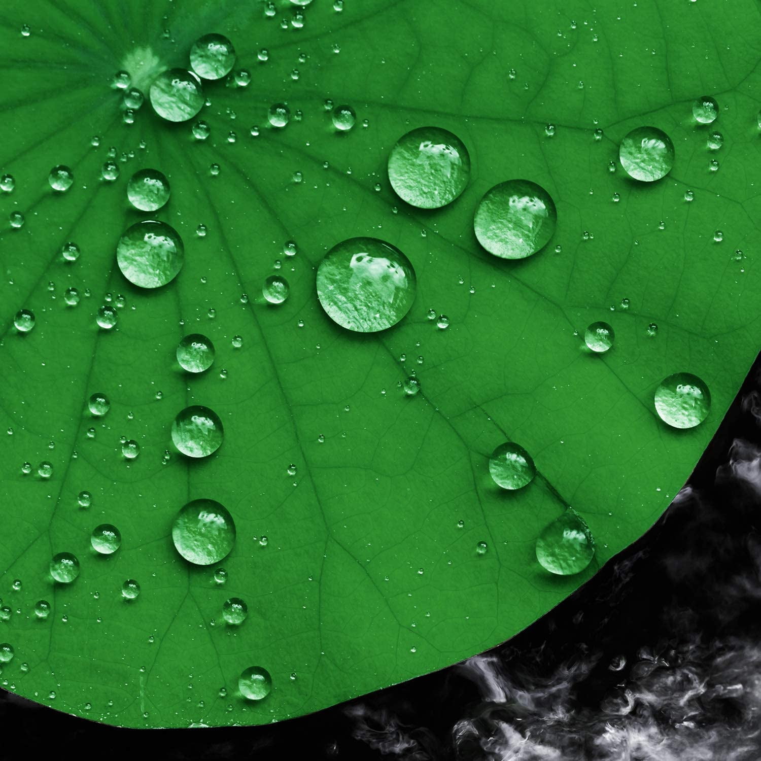 12 Pack Artificial Lily Pads Floating for Pond, 4 Sizes Lily Pad Fake Lotus Leaves Fish Decorations, Realistic Foam Water Plants for Koi Aquarium Fish Tank Pool Landscape Garden Decor