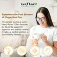 thumbnail image 2 of LeafLea 40 Ginger Tea Bags, 100% Pure & Natural from Dried Ginger Root Tea, Spicy & Comforting Herbal Tea, Caffeine Free, Sugar Free, 2 of 17