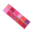 thumbnail image 1 of WIFKLSIIPG Lipstick12 Color Lipstick Multi Color Lipstick Lip Gloss Boxed Nourishing Makeup Artist Portable, 1 of 8