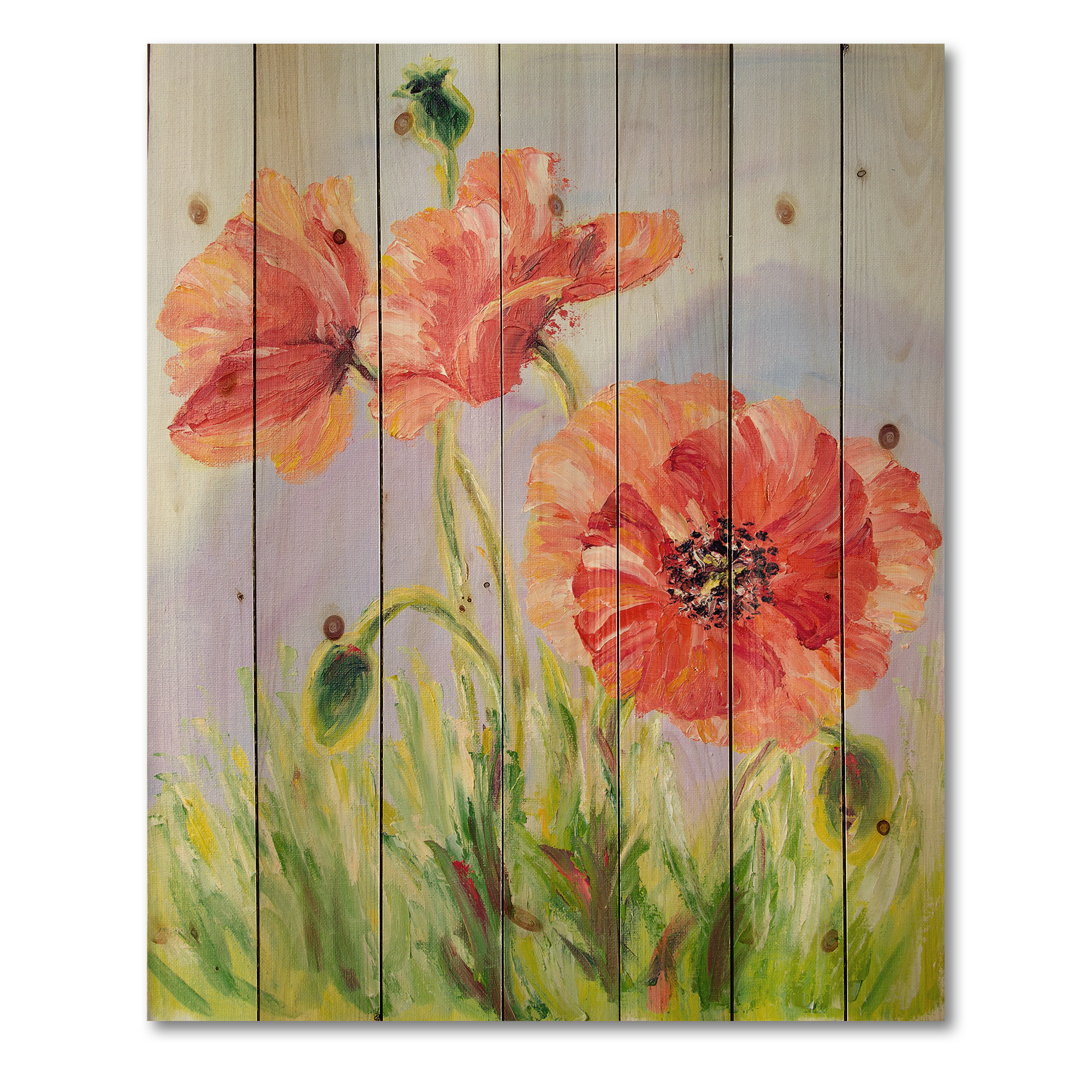Designart 'Blossoming Poppies At Dawn' Traditional Print on Natural Pine Wood