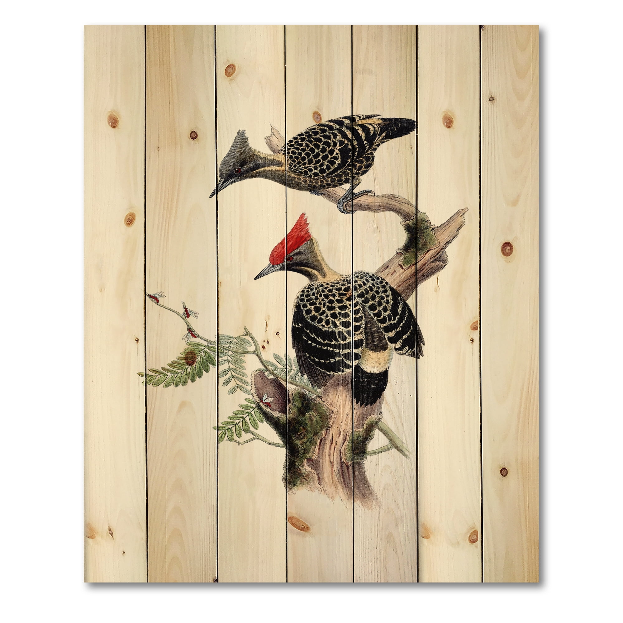 Designart 'Ancient Birds In The Wild VI' Traditional Print on Natural Pine Wood