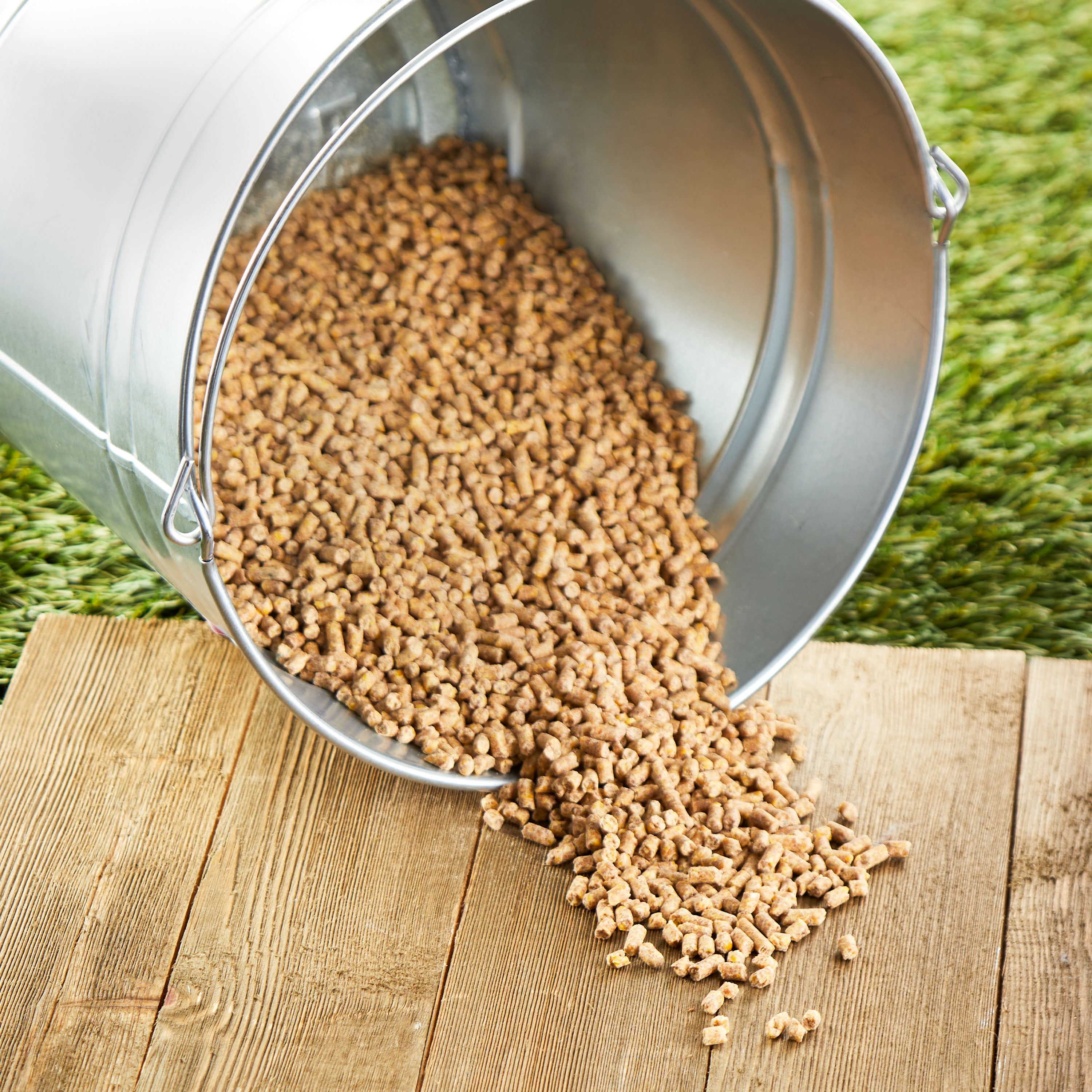 Vibrant Life Hog Grower & Finisher Pellet Feed, 40 lbs