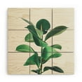 thumbnail image 1 of Society6 Cassia Beck Rubber Fig 5' x 5' Wood Wall Mural, 1 of 1