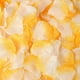 thumbnail image 1 of Xiao Hua 1000 piezas de pétalos de rosa artificiales para decoración de bodas, fiestas, amarillo y blanco, 1 of 3