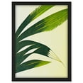 thumbnail image 1 of Modern Abstract Fan Palm Tree Leaf Illustration Artwork Framed Wall Art Print A4, 1 of 4