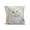 C, variant on Cute Cat Print Pillow, Bedroom Living Room Sofa Cushion for Sofa Living Room Decoration, 18x18in (without Core)