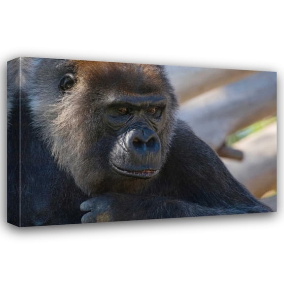 Susann Parker 40x28 Gallery Wrapped Canvas Wall Art Titled - The Thinker