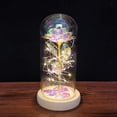 thumbnail image 4 of Zonghan LED Rose Flower In Glass Dome With Lights Infinity Crystal Rose Flower Enchanted Glass Rose Best Gift, 4 of 6
