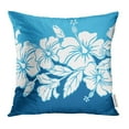thumbnail image 1 of RYLABLUE Housse de Coussin Motif Bordure Hybride Hibiscus Fleur Bleue Tropicale Hawaïenne, 1 of 1