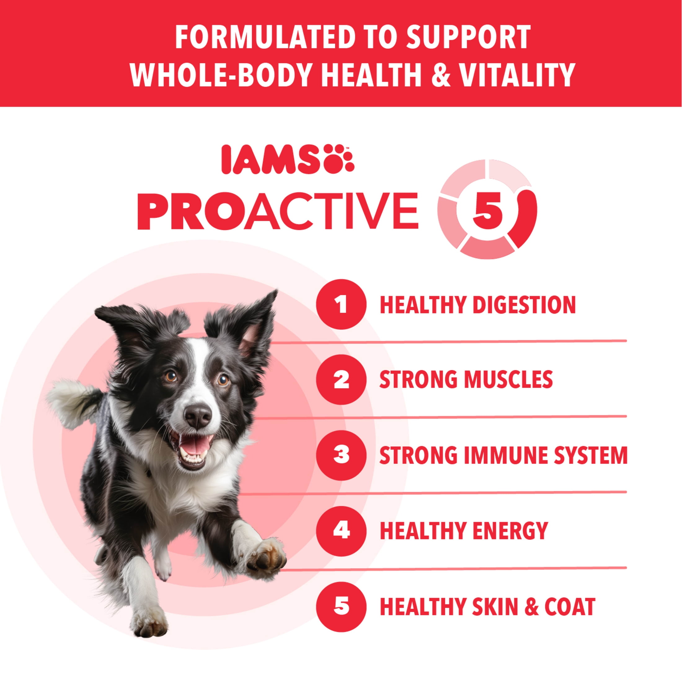 IAMS Proactive Health Adult Minichunks Lamb & Rice Recipe Dry Dog Food, (4) 5 Lb Bags