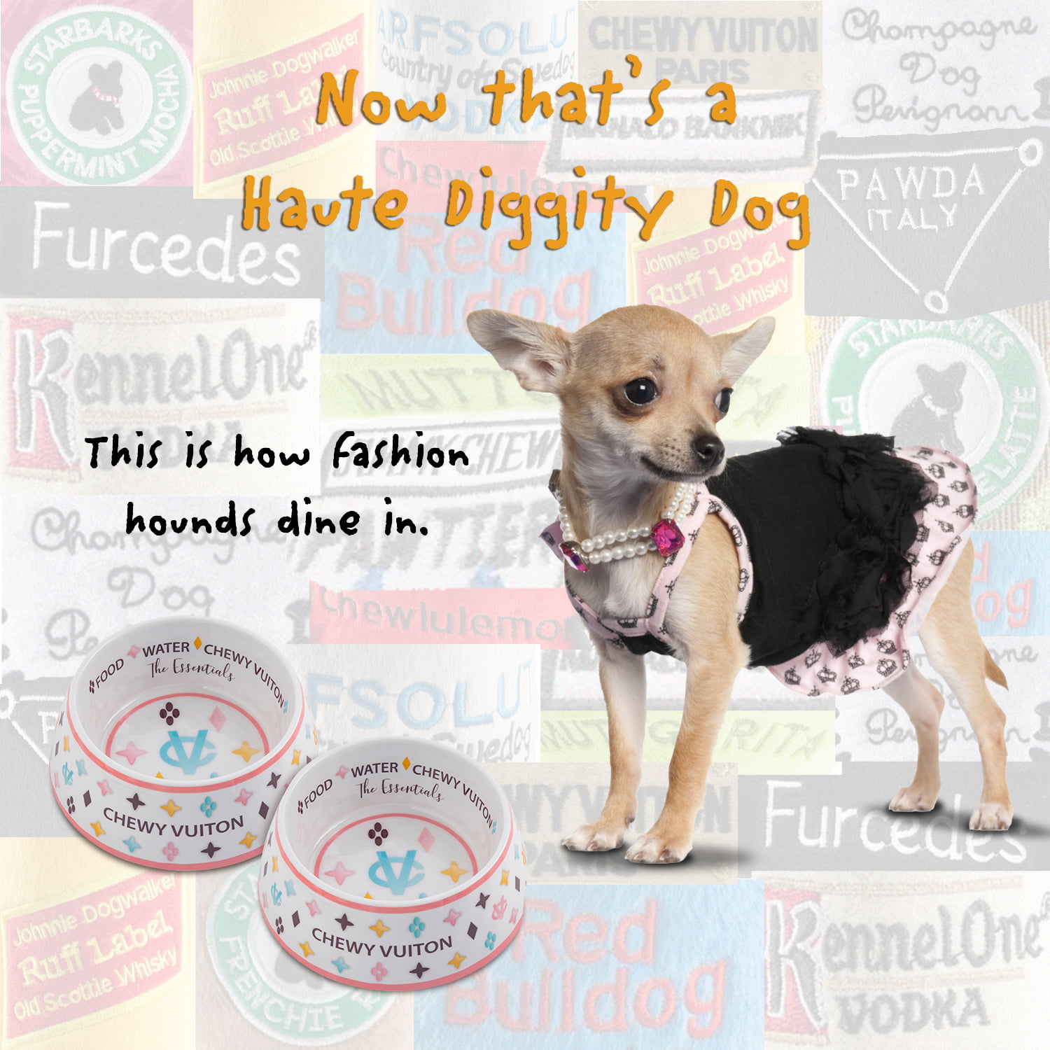  Haute Diggity Dog Bowls Collection – Set of 2 Dishwasher Safe,  Food Grade, Non-Skid, BPA Free, Chip Resistant Melamine Food & Water Bowls  with Chic, Stylish, Colorful, Fun, Unique Parody