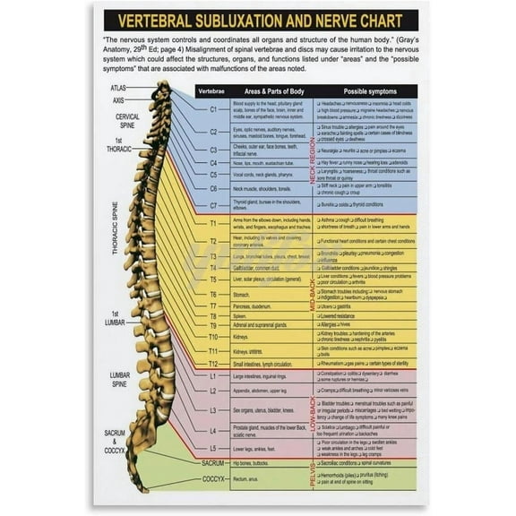 Vertebral Subluxation Poster Spinal Nerve Function Chart Poster (3) Canvas Painting Wall Art Poster for Bedroom Living Room Decor