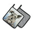 thumbnail image 2 of Carolines Treasures MW1358PTHD Schnauzer Whiter Beard Pair of Pot Holders , 7.5HX7.5W, multicolor, 2 of 4