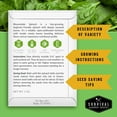 thumbnail image 3 of 3 Packs Spinach Seed Collection - Full Sun Annual Vegetable Seeds, 3 of 9