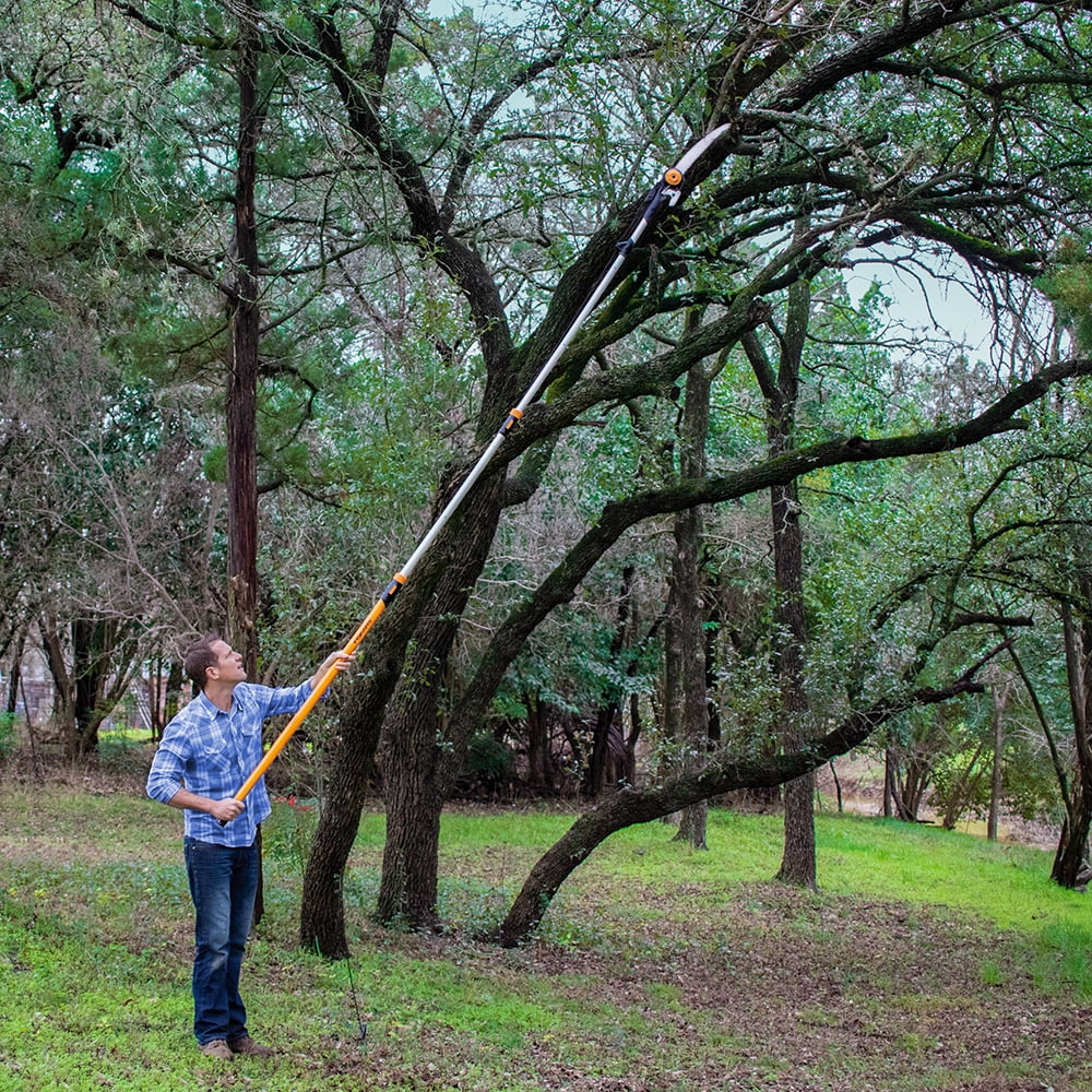 3X More Power 7'16' Chain Drive Extendable Pole Saw Pruner Tree