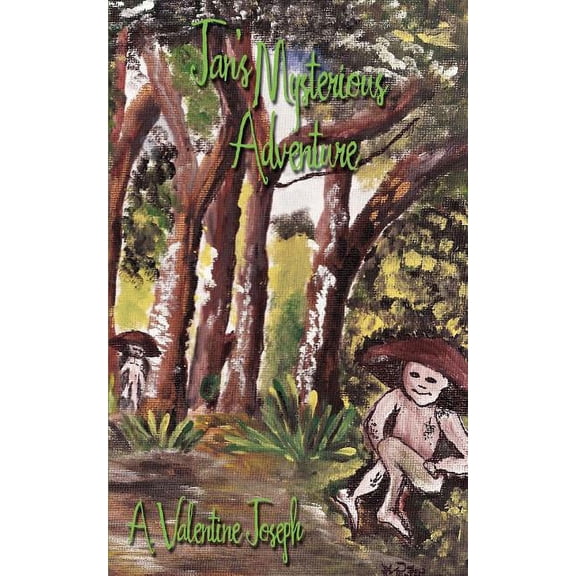 Jan's Mysterious Adventure, (Paperback)