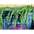 thumbnail image 2 of Natural Touch Weeping Cedar Garland 48 x 27 Inches, 2 of 8
