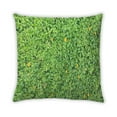 thumbnail image 2 of Ahgly Company Color Focus Green Coussin Décoratif d'Extérieur, 18 Po X 18 Po, 2 of 6