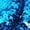 Sky Blue, variant on ZIXKCGDSE Women Sequins Shorts Low Waist Summer Bottoms Hot Pants Clubwear Fashion Clothing Size S
